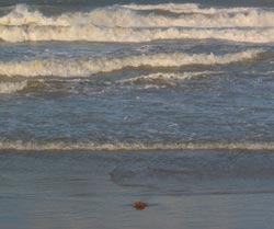 Anonymous in the Mediterranean