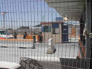 Boycotting Academia (Part I)