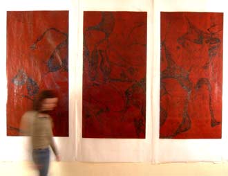 Endless Forms, Endless Relationships