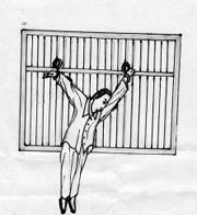 Egyptian bloggers: Online festival of torture videos