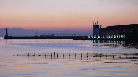 Film Festival: Notes from Thessaloniki