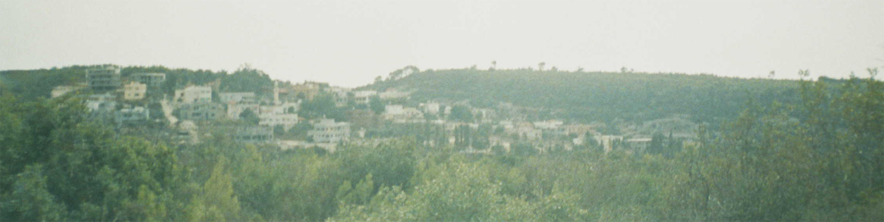 Arab Unrecognized Villages: Ain Hod