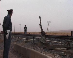 The Maghreb Connection. Movements of Life Across North Africa