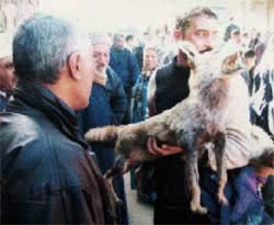 Lost & found…in Cairo