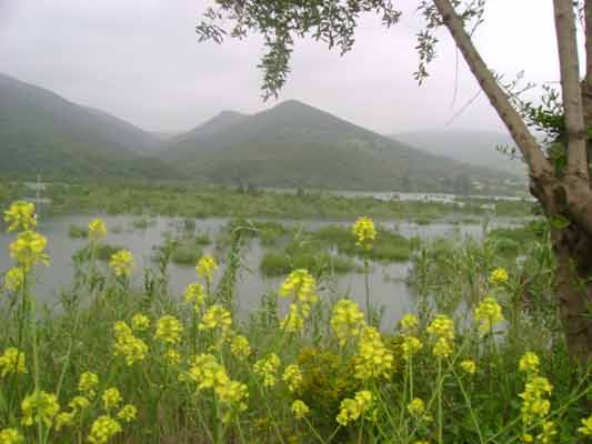 A sense of belonging