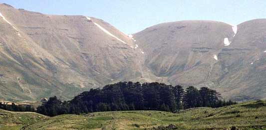 Lebanon: The hotel by the cedars
