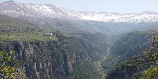 Lebanon: The hotel by the cedars