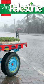 This Week in Palestine