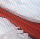 Dossier: We are All Gaza