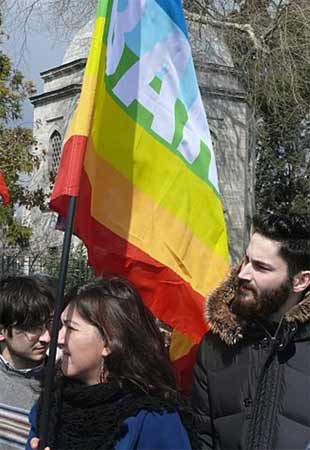 Young population, education, unemployment and politics