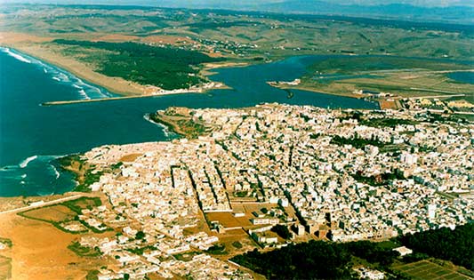 Illegal immigration: civil society comes to the rescue