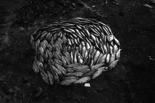 Figures de l’absence