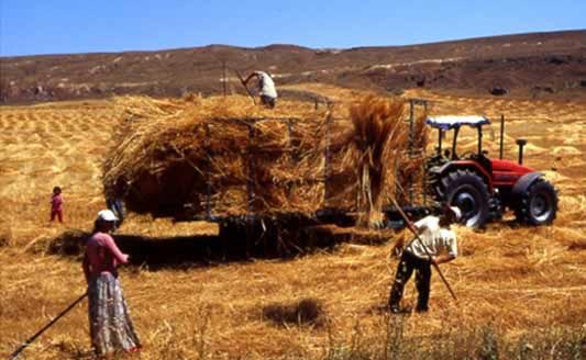 The valley of migrations