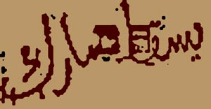 The Counter Paradise