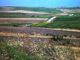 A tale of rivers and borders