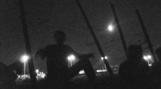 The boys of the fence