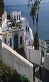 Tunisia: Entering the Aquarium