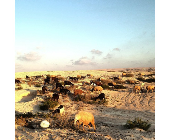 //Noha Zayed | nohazayed | has a beautiful eye and spends a lot of time in fantastic places. Always with her cute kiddo, often in Egypt, other times elsewhere. 