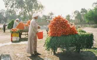 La cuisine des Pharaons