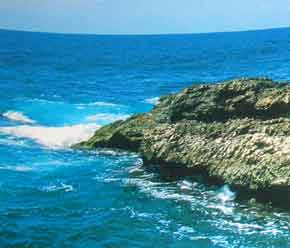 Sous le signe d’Eleonora