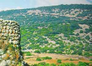 Sous le signe d’Eleonora