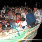 Ces fourmis sont des hommes!