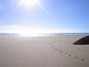 Transes et Paix à Agadir