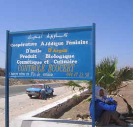 Chère huile d’argan