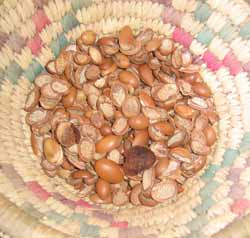 Chère huile d’argan