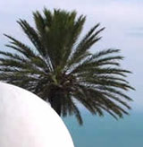 Une nouvelle association en Tunisie pour la défense de la laïcité