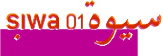 Siwa 01: plate-forme de réflexion et d’échanges artistiques entre l’Europe et le monde arabe