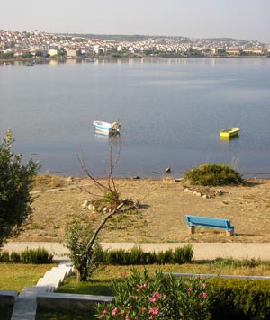 Glob-note - Page: 20070724