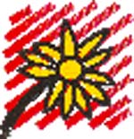 Maroc: des milliers de morts anonymes