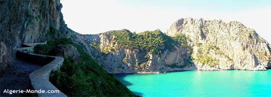 Journal d’un cinéphile (suite)