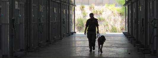 Militaires israéliennes: la fierté et la honte de faire comme les hommes