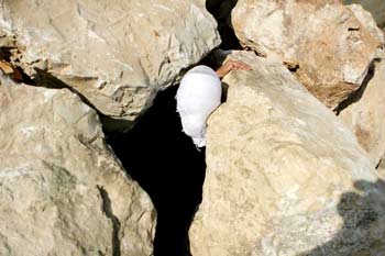 'Passages' de Khaled Jarrar à la galerie AlHoash