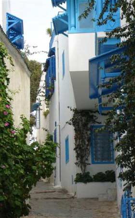 // Sidi-Bou-Saïd