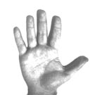 En suivant six lignes de vie de Bagdad à Damas