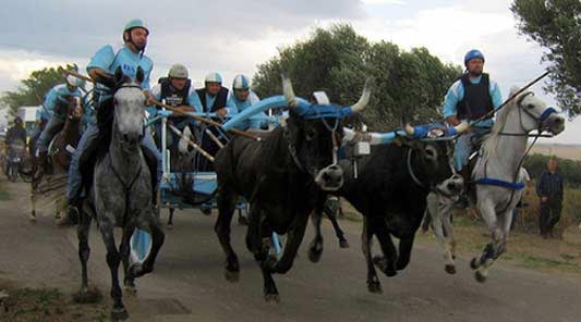 La fête du 3 mai au pas de course