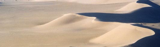 // le désert algérien