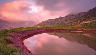 FOCUS. Quatre photographes émergents au Liban