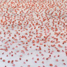 La Palestine entre présence et occultation à la 53ème biennale de Venise