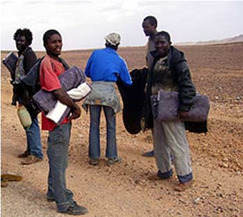 Migration subsaharienne au Maghreb: une menace imaginaire et une réelle tragédie