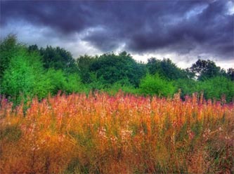 Islam “mad(e) in Europe”