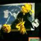 Dossier Gaza: l’horreur dénoncée