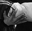 Dossier Gaza: l’horreur dénoncée