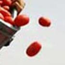 La journée sans immigrés