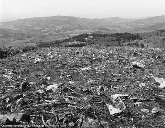 Territoires et frontières d’Anne-Marie Filaire