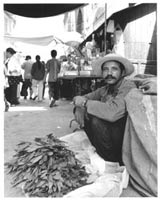 Les sens du commerce: Alep, Beyrouth, Tunis