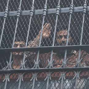 Turquie: des migrants sans droits